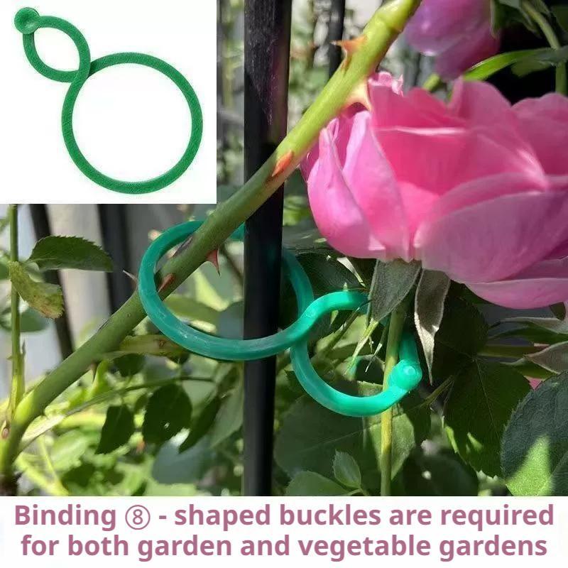 100 Pcs Plant Support Clips He - Vine Climbing Plastic review and price