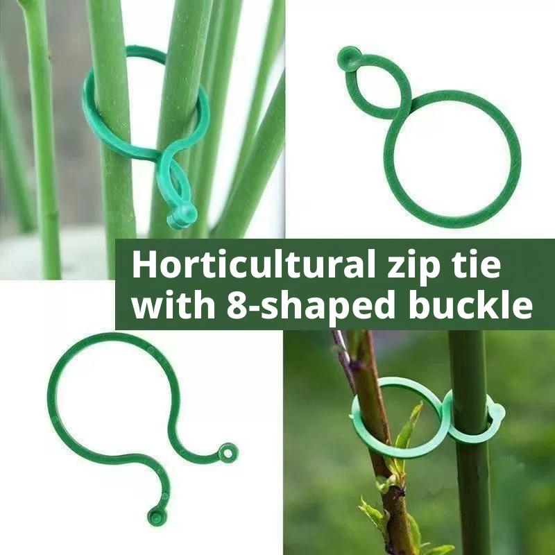 100 Pcs Plant Support Clips He - Vine Climbing Plastic review and price