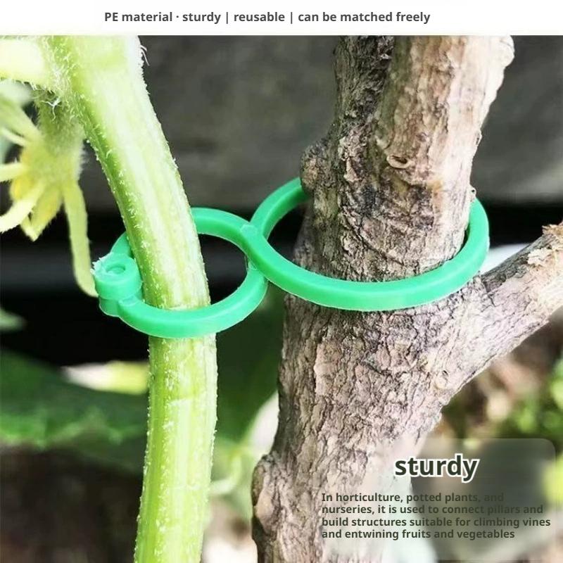100 Pcs Plant Support Clips He - Vine Climbing Plastic review and price