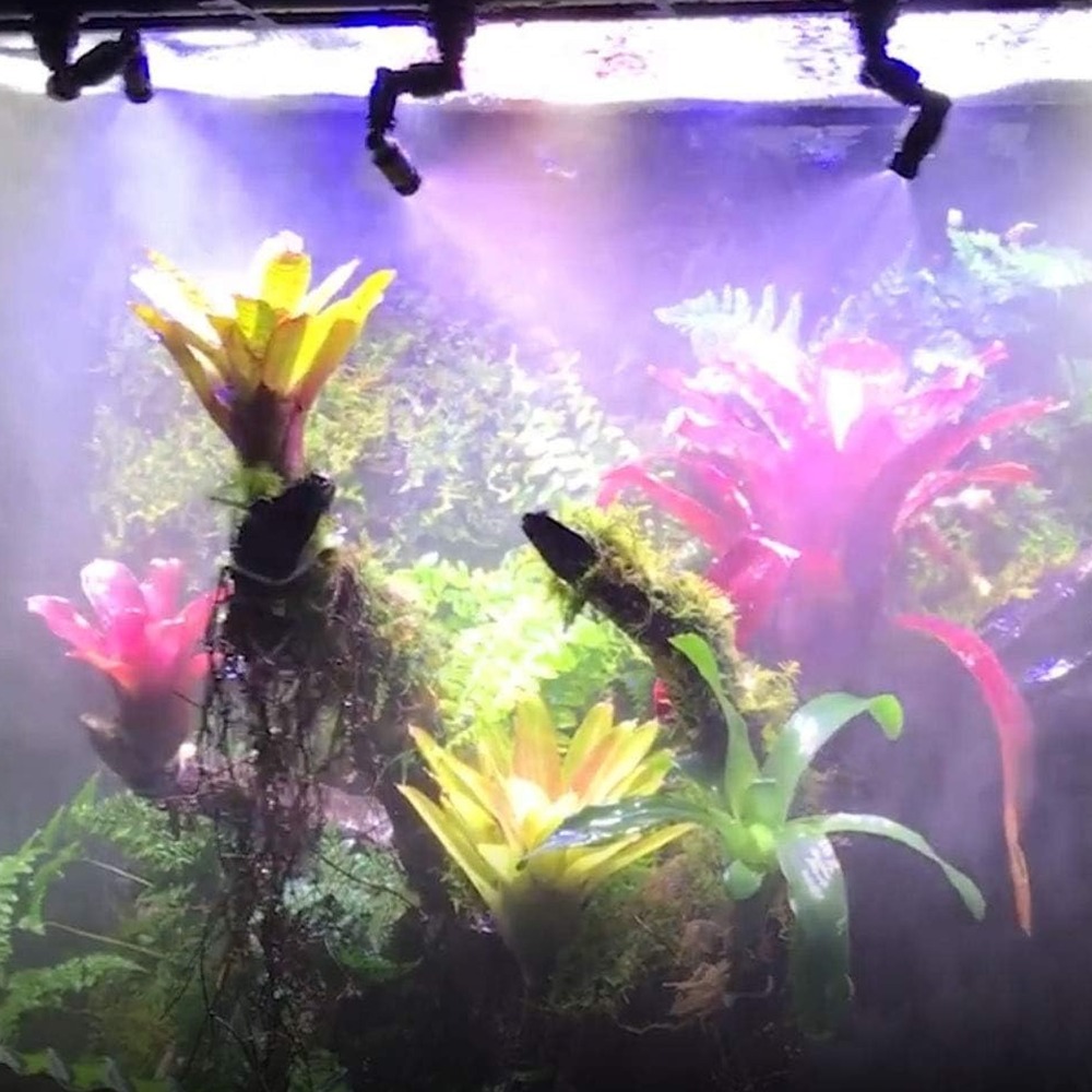 PP Reptile Fogger Black 360° R - Misting Nozzle Reptile review and price
