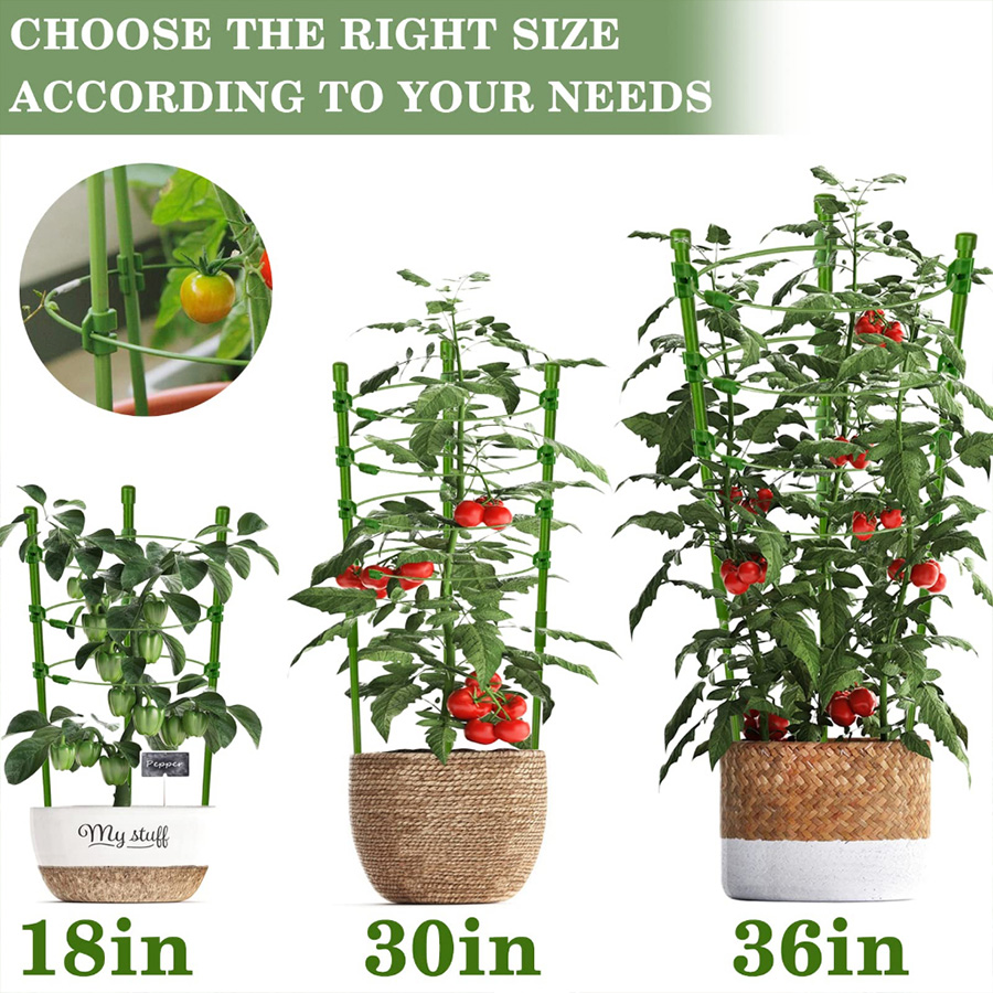 Durable Thickened Plastic Plan - Vine Climbing Plastic review and price