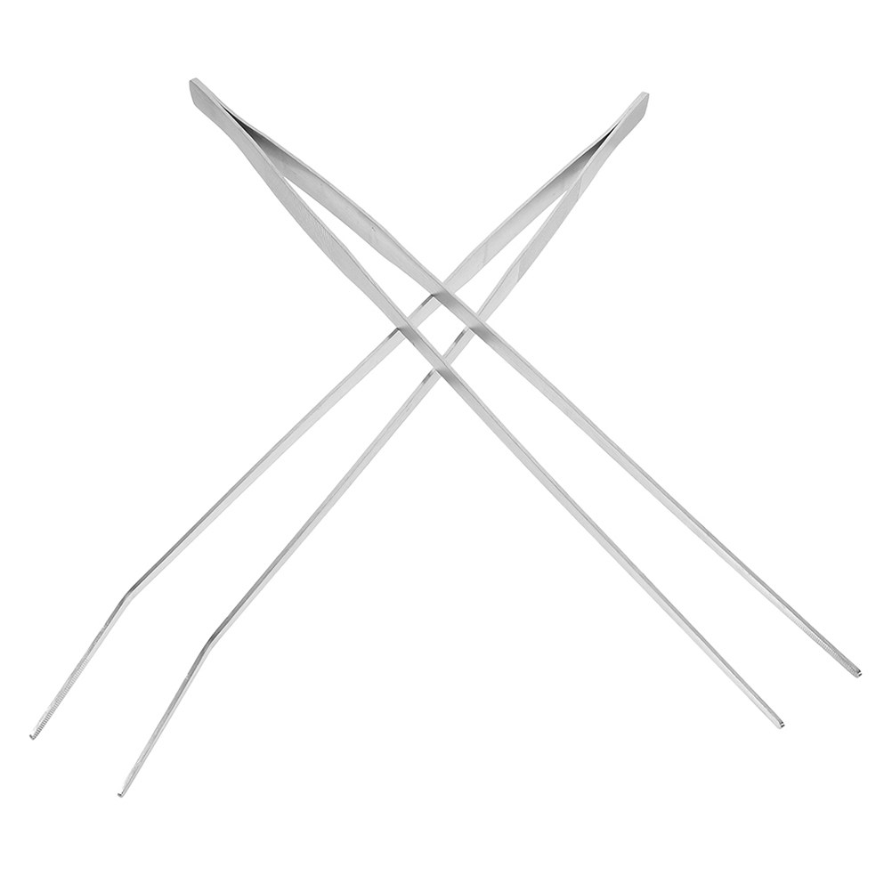 2Pcs Stainless Steel Reptile F - Feeding Tong Stainless review and price