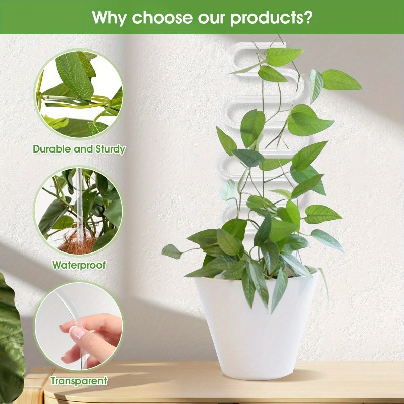 Acrylic Transparent Plant Clim - Vine Climbing Plastic review and price