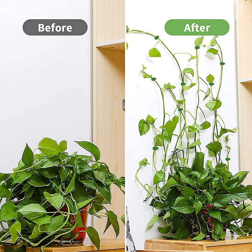 10/30/50Pcs Plant Climbing Wal - Vine Climbing Plastic review and price