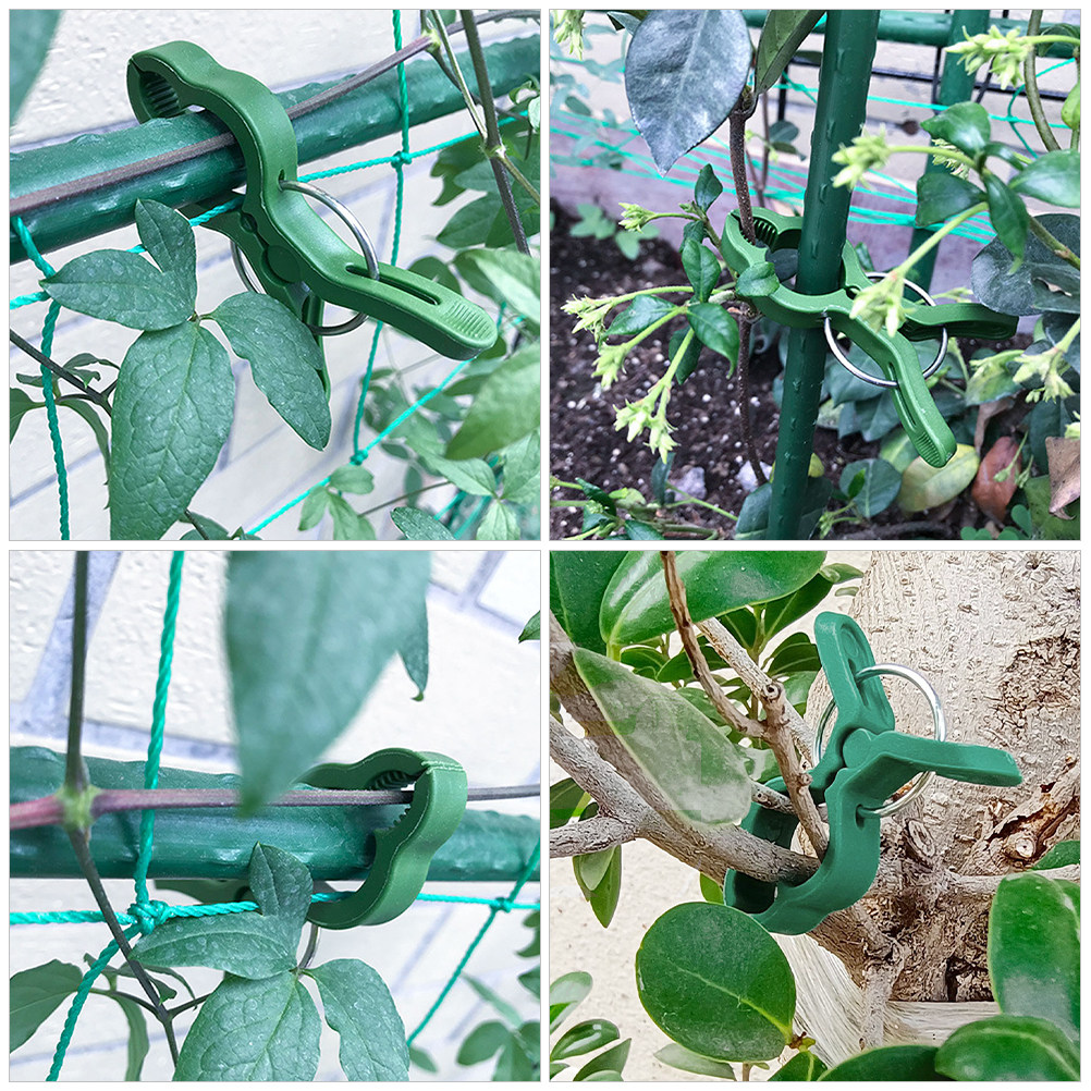 60Pcs Plastic Plant Support Cl - Vine Climbing Plastic review and price
